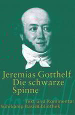 Cover Die schwarze Spinne